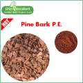 Natural Pine Bark Extract Powder Proanthocyanidins